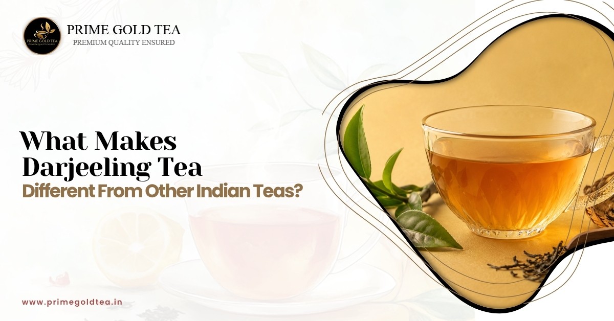 What Makes Darjeeling Tea Different From Other Indian Teas?