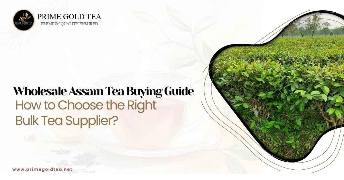 Wholesale Assam Tea Buying Guide: How to Choose the Right Bulk Tea Supplier?