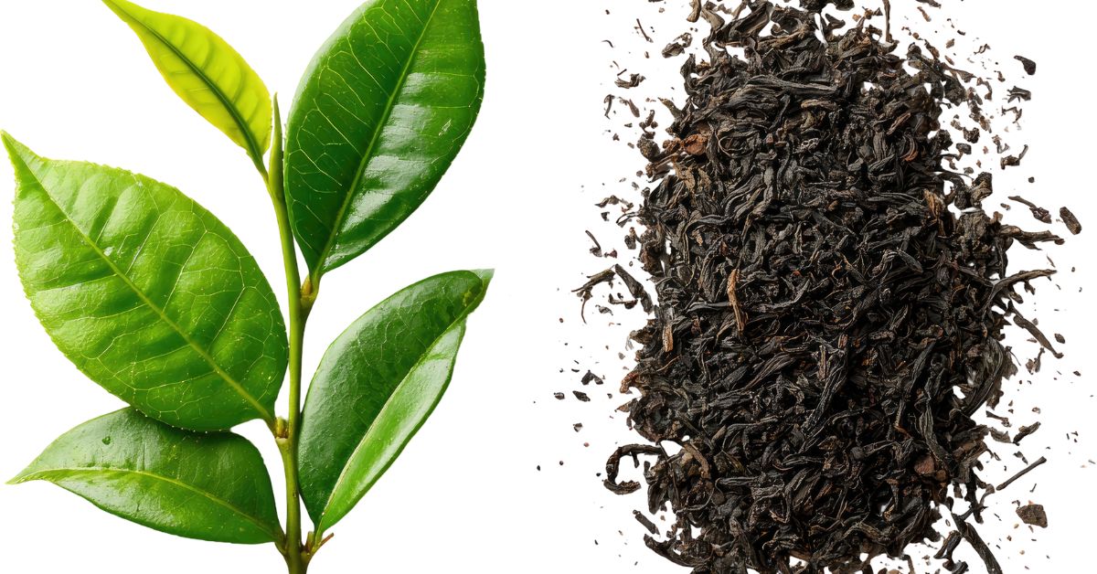 tea