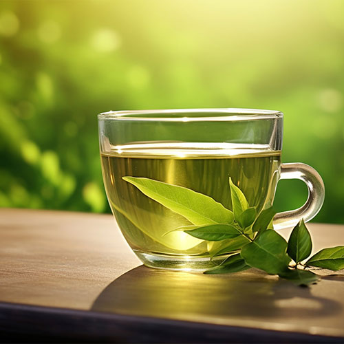 Organic Dooars Green Tea